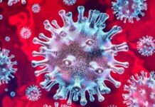 Umro šesti zaraženi, 26 osoba na respiratoru, broj zaraženih popeo se na 713!