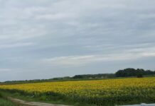 HSS-ovci apeliraju: Slavonski poljoprivrednici trebaju slobodu kretanja do svojih njiva, poljoprivrednih ljekarni