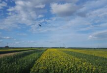 Pokrenuta inicijativa “Zaorimo hrvatska polja”: Posadimo vrtove, uredimo pašnjake i naselimo ih životinjama