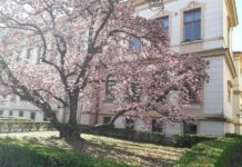 Ranojutarnja razglednica: Moj grade, maleni grade…