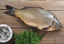 Općina Davor daruje šarane za Veliki petak