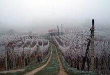 Proglašena prirodna nepogoda na području Brodsko-posavske županije, prijavite štetu!