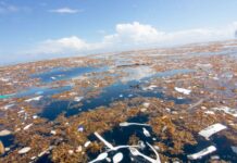 Zabrana uporabe plastičnog pribora za jelo, tanjura i slamki šteti gospodarstvu i okolišu