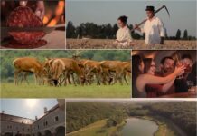 BPŽ: Hedonistička destinacija puna tradicije i baštine koju možete okusiti