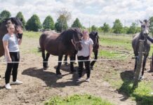 Složna obitelj Matijašević iz Dragalića dokaz je da se od zemlje može dobro živjeti