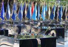 Incident u Okučanima! Milanović zbog ZDS odlazi s obilježavanja Bljeska!