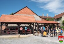 Udruga osoba s intelektualnim teškoćama „Suncokret“ Nova Gradiška u posjetu Daruvaru