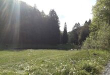 Strmac, nama nadohvat ruke: Sjajno mjesto za odmor, uskoro i čuveni „Moto susreti“