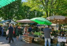 Bogata ponuda voća i povrća na Gradskoj tržnici