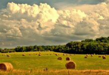 Na adrese poljoprivrednika poslano novih 208 ugovora vrijednih gotovo 26 milijuna kuna