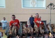 Zbog situacije s koronavirusom: Ove godine nema „Ribarskih večeri” u Davoru