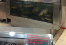 Prijatelji životinja: Patnja i smrt tisuća životinja u trgovinama