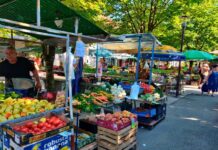 Novogradiška tržnica: Bogata ljetna ponuda uz pristupačne cijene