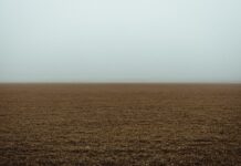 Analiza tla i preporuka gnojidbe temelj su uspješne proizvodnje