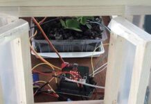 Lucija Prpić osvojila nagradu za rad ”Automatizirani model plastenika za uzgoj jagoda”