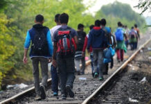 Policija u Radinju spasila i zbrinula 13 migranata