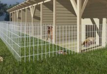 Novogradiške njuške traže volontere