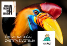 Projekt za djecu: digitalni likovni natječaj „Zaštita životinja“
