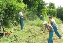 Općina Staro Petrovo Selo: Tražimo pet radnika u održavanju, prijavite se!