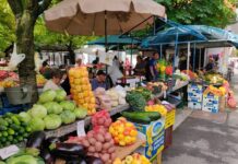 Novogradiška tržnica – šarena oaza ekološkog uzgoja