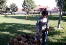 S novogradiške tržnice: Polako, ali sigurno dolazi nam jesen