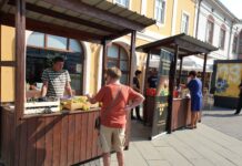 Održana manifestacija „Dani grožđa cerničkog i novogradiškog kraja”