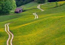 Na adrese 235 poljoprivrednika poslani novi ugovori vrijedni gotovo 38 milijuna kuna