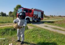 JVP i DVD Nova Gradiška rješavaju probleme sa zmijama i stršljenovima