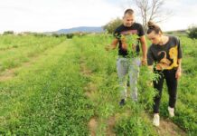 Mladi supružnici iz Lužana svoju priču grade kroz eko šipak, a za sve je ”kriv” – punac