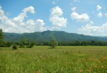 Na rok od pet godina: U zakup nude 38 livada, oranica, vinograda…