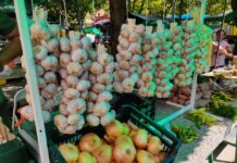 Subota na novogradiškoj tržnici – pripreme za zimnicu