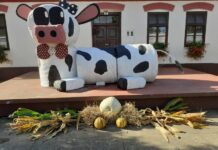 KUD „Radinje” Siče: Potrebno je samo malo dobre volje