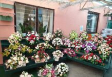 Ususret blagdanu Svih svetih provjerili smo ponudu cvjećarnica