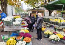 Ponuda na tržnici za blagdan Svih svetih i Dušni dan