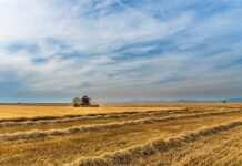 Program potpore primarnim poljoprivrednim proizvođačima vrijedan 70 milijuna kuna u postupku elektronskog savjetovanja