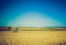 Dobra vijest za poljoprivrednike: Isplata predujma za proizvodnu 2020. godinu kreće u drugoj polovici studenog!