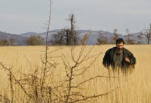 ZAGREB FILM FESTIVAL U NG: U četvrtak besplatna projekcija filma ”Otac”