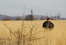 Kino Nova Gradiška: “Otac” s Goranom Bogdanom u glavnoj ulozi