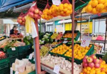 Novogradiška tržnica uz sezonsko voće i povrće nudi izvrsnu slatku i ljutu papriku