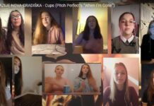 Nova Gradiška za Gimnaziju: Danas do 16,00 sati možete glasovati za naše gimnazijalce