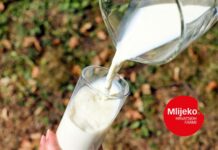 Oznaka „Mlijeko s hrvatskih farmi“ jamči sljedivost „od polja do stola“