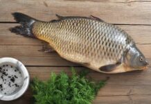 Općina Davor i ove godine organizira podjelu šarana za Božić