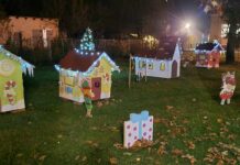 Foto: I ove godine prekrasno uređen park u Novoj Kapeli