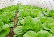 Nova 43 ugovora, odobrene potpore u iznosu od 30 milijuna kuna