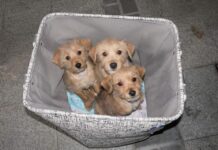 Hvalevrijedna inicijativa županije: Pogledajte za što će izdvojiti 90 tisuća kuna