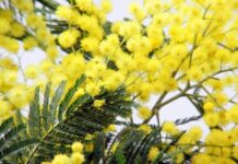 Nacionalni je dan borbe protiv raka vrata maternice