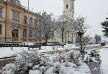 Nova Gradiška u bijelom / Foto