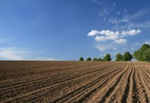 Općina Rešetari ishodila suglasnost na Program raspolaganja poljoprivrednog zemljišta u vlasništvu RH