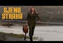 Kino Nova Gradiška: Večeras i sutra akcijski triler “Sjena straha”