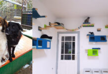 Na snagu stupile izmjene i dopune Pravilnika o uvjetima kojima moraju udovoljavati skloništa za životinje